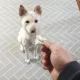 요기용
