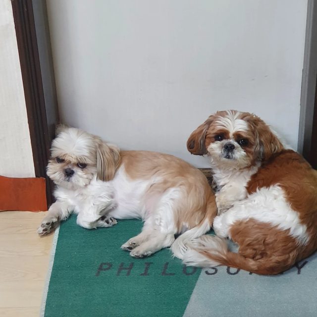 박대리에어컨프로필 사진