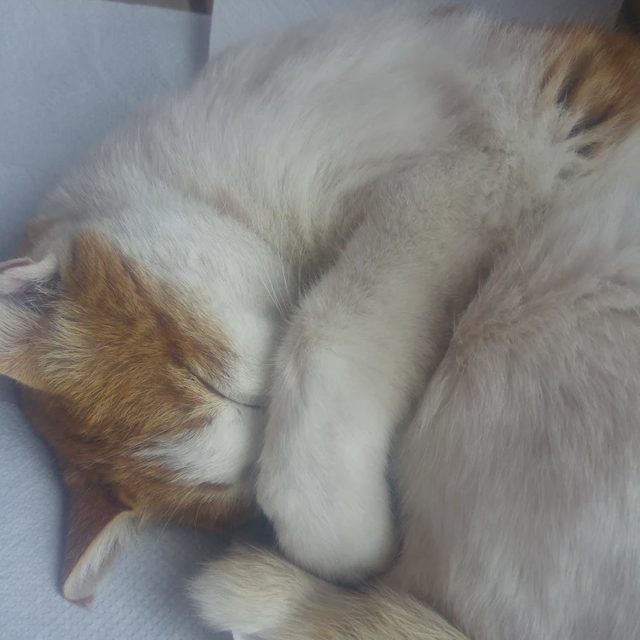 리뷰 프로필 이미지