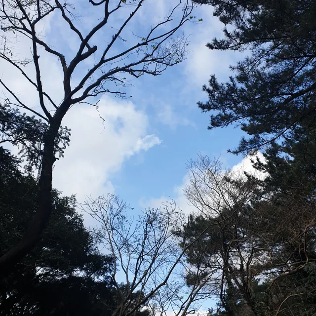 까칠쩡아