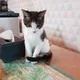 정리목적