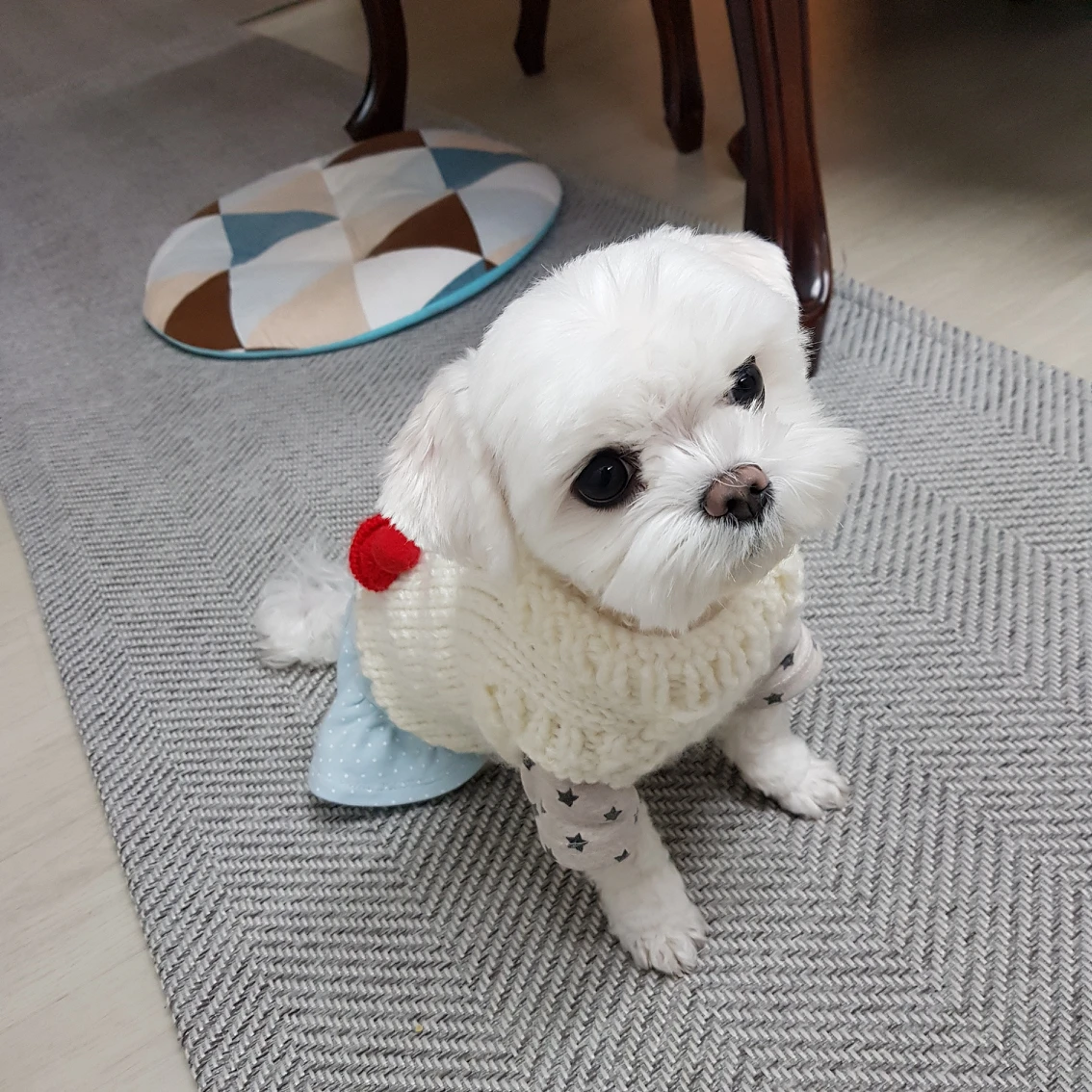 견리사의