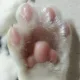 말랑말랑핑크젤리