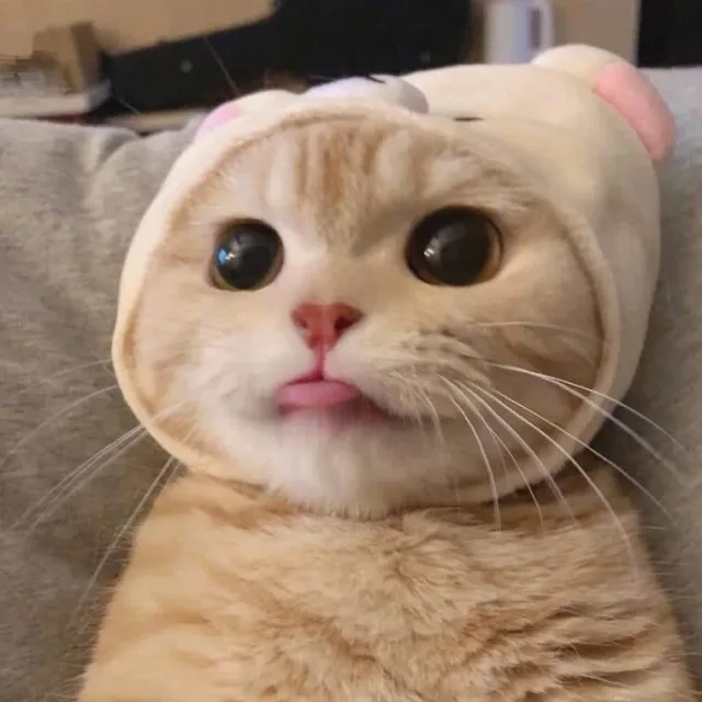 반가워요