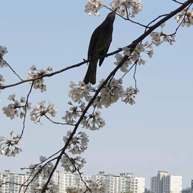 마동서기