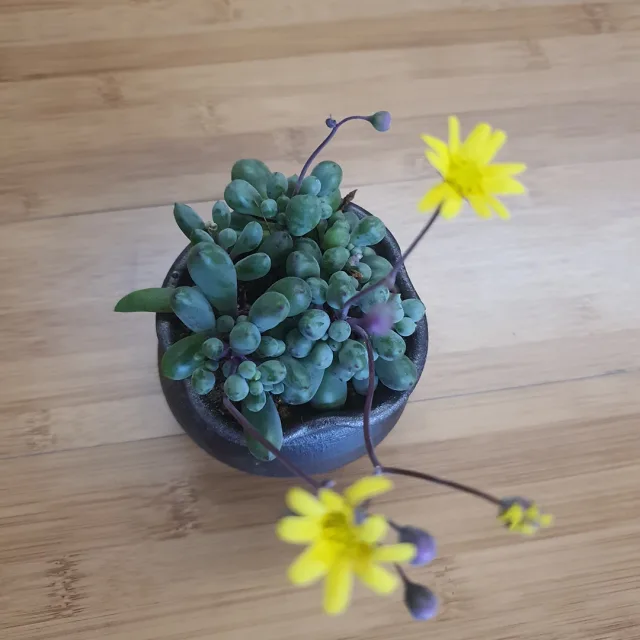 풍경소리
