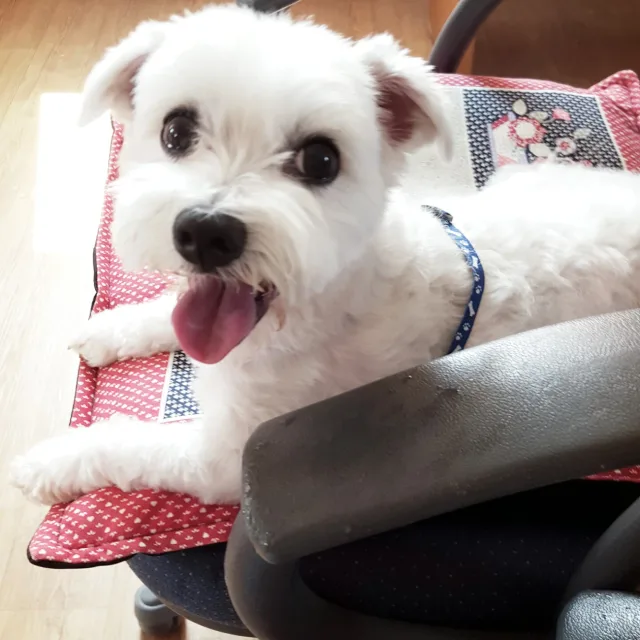 이말2