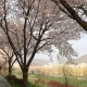 러브미메