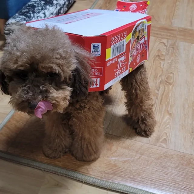 만안구