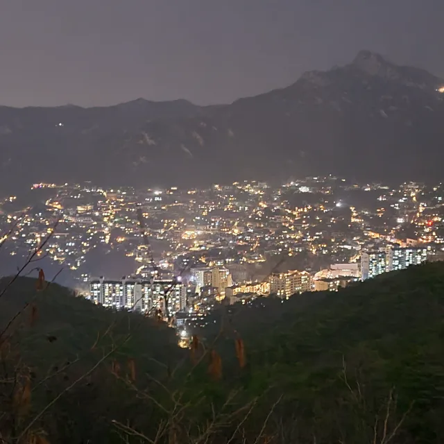 띠로리링