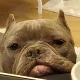 오천원