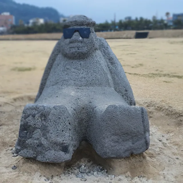 난폭보더