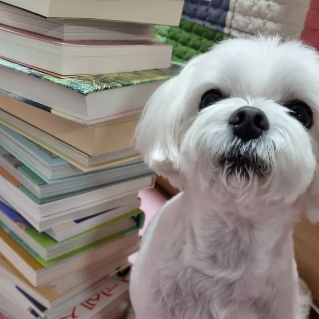 책먹는곰