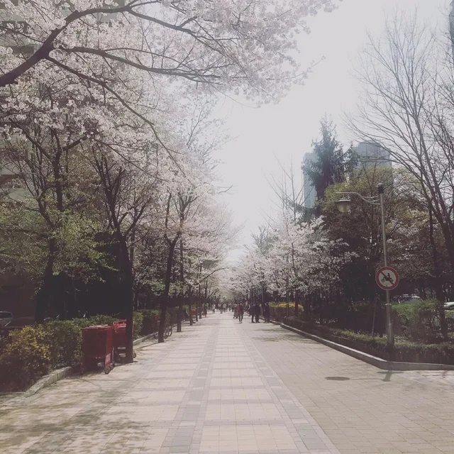 순둥둥