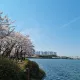 클로이
