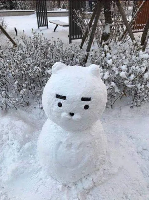 장위동슈마허
