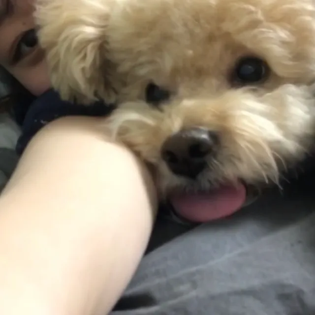 지미