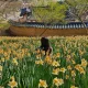 쟁쟁