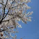 당근이조아당근당근