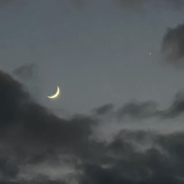 볼볼