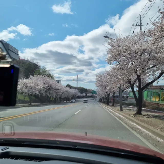 뽀로롱