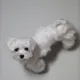 햇님이