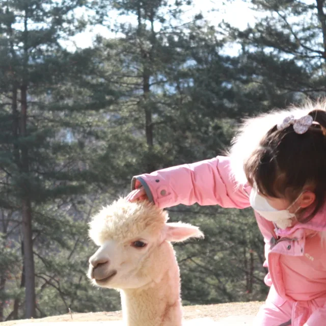 깍이아빠