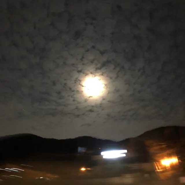호랑이와토끼