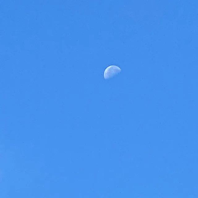 조아요