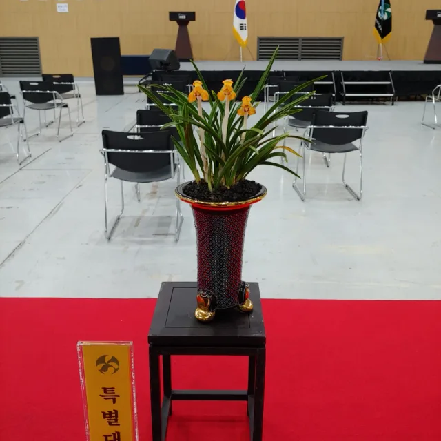 청홍소