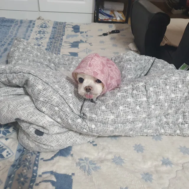 암행어사