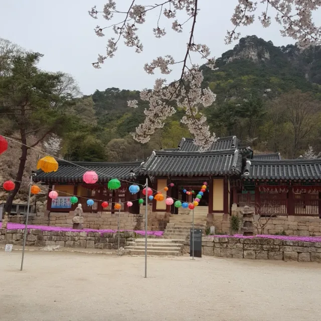 오이2구역