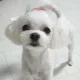 뽀로롱꼬마마녀