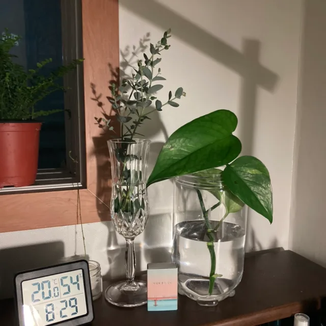 이글스