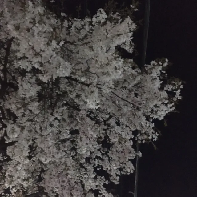 해피