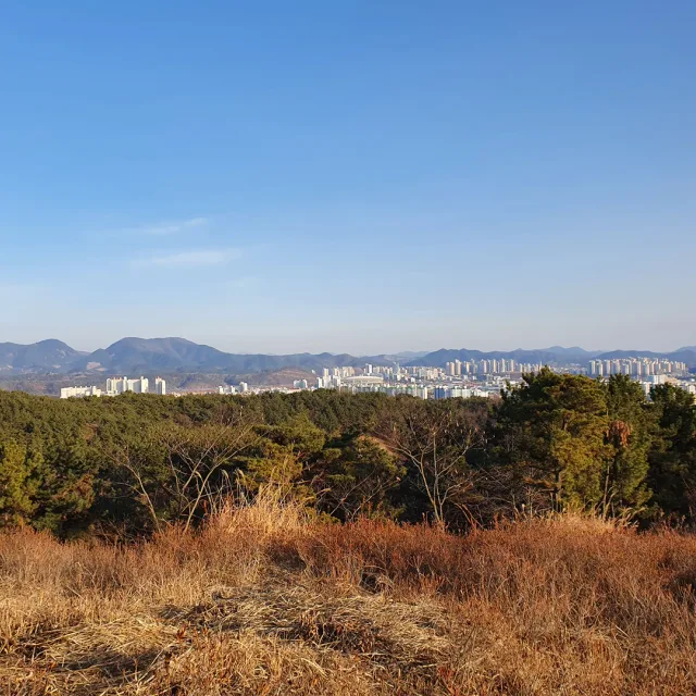 오늘도