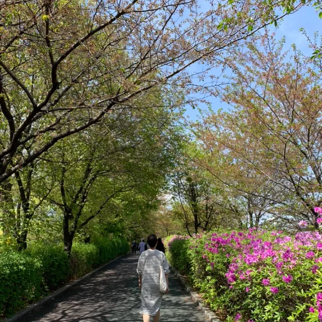 무무토리