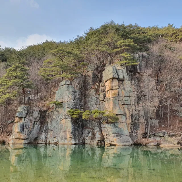 라온푸우