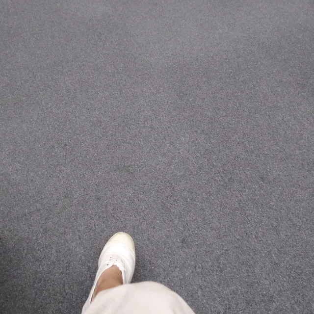 고은님