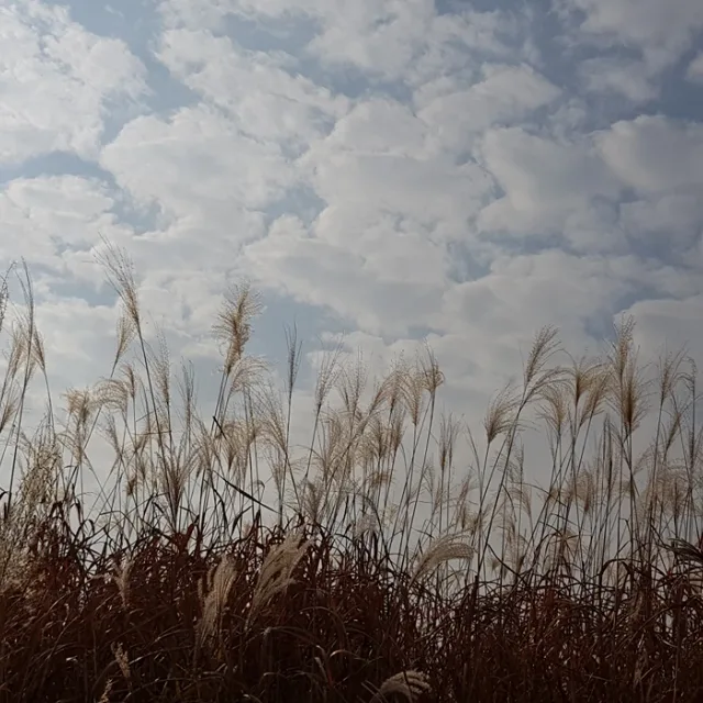 청지기