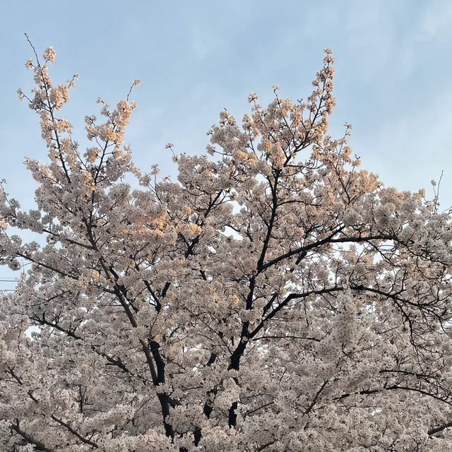 당순
