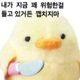 미역