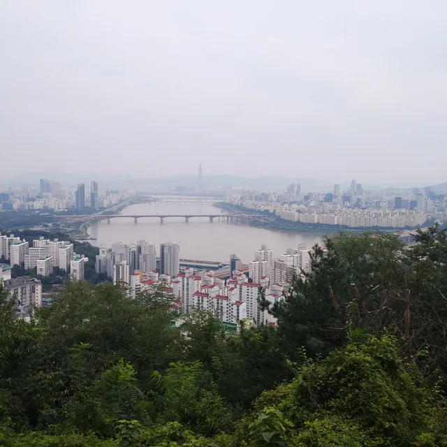 브로콜리조아
