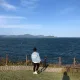 댕댕