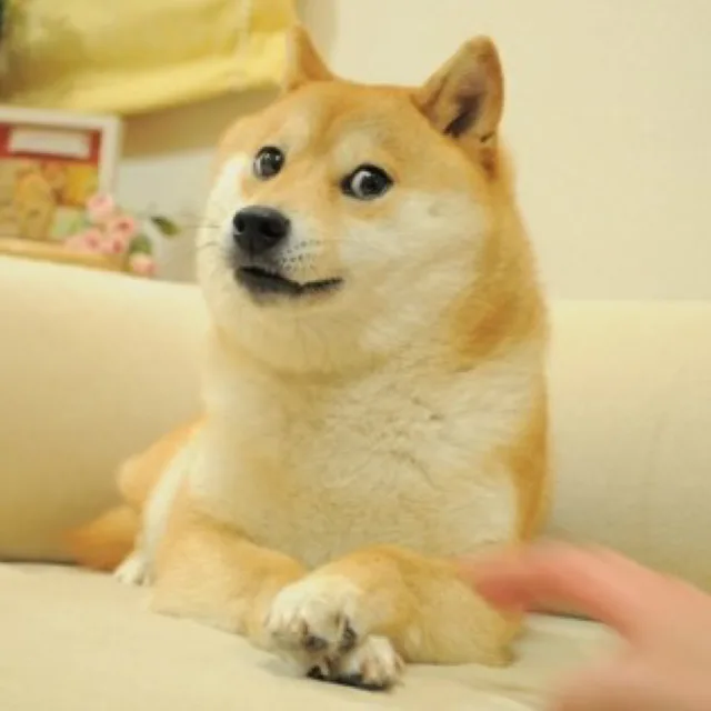 용자