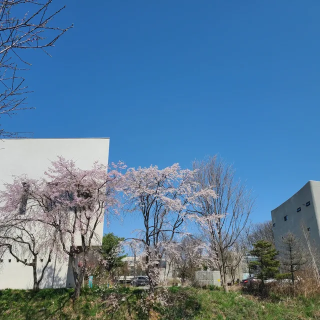 리리리
