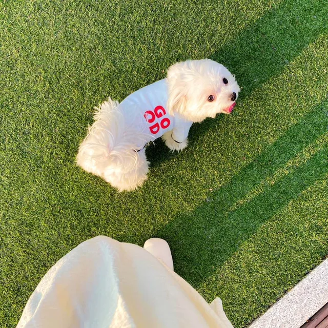 모찌엄마