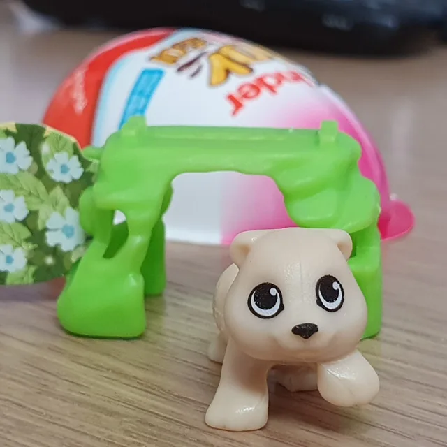 나의당근