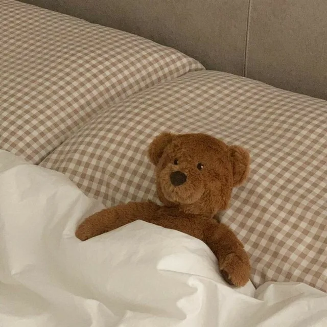 재이