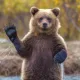 곰개